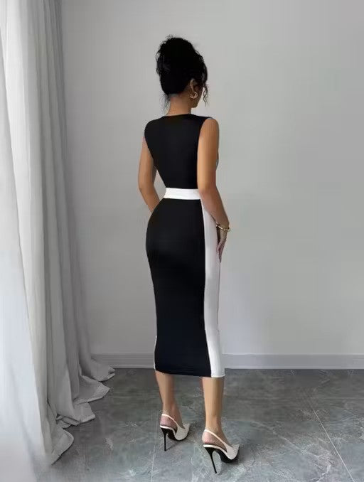 Classic Elegant Women Dress