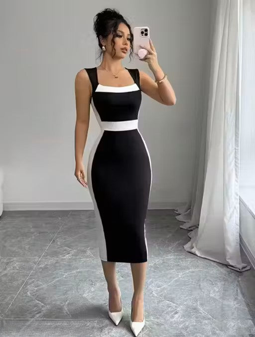 Classic Elegant Women Dress