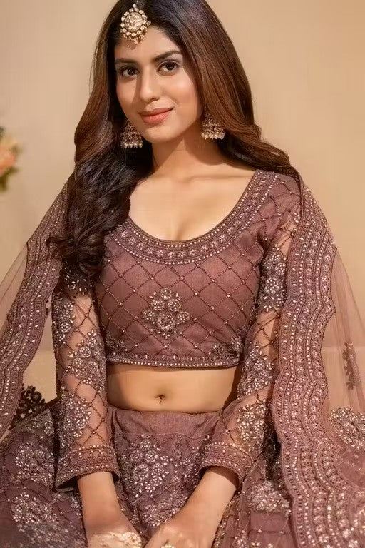 Net Embroidered Semi-Stitched Lehenga