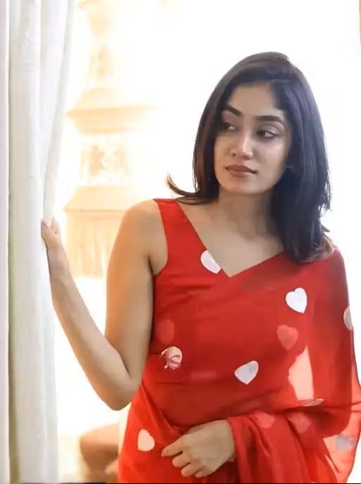 Equisite Georgette Embroidery Work Saree